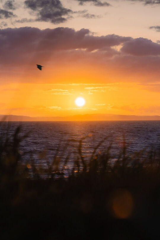 Nature Photography 5